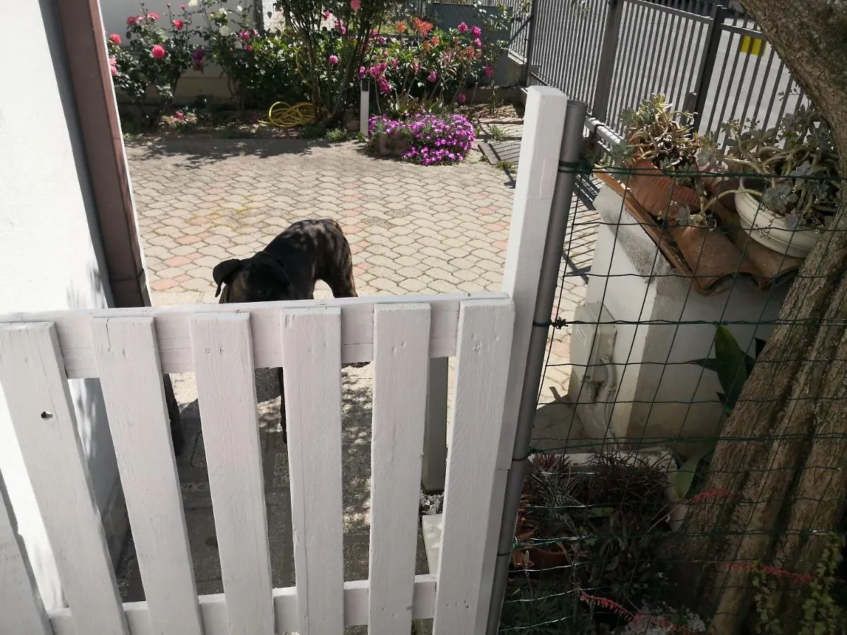 La Pianta Grassa Appartamento A 2 Passi Dal Centro Ravenna Italy